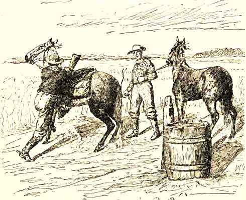 A Pony Express