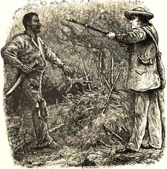 The Discovery of Nat Turner